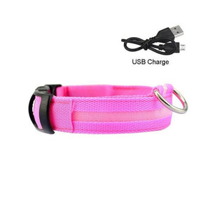 Rechargeable Dog Collar Leash with  USB Charger