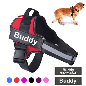 Personalized Dog Harness ( It is Breathable | Adjustable & NO PULL | )