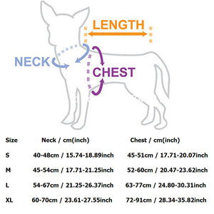 Nylon Heavy Duty Pet Harness Collar
