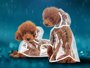 Dog Transparent Raincoat with Hood