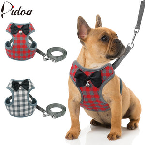 Small Harness and Leash Set