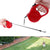 Automatic Retractable Dogs Walking Leash