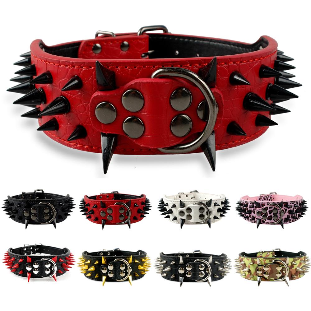 Top Paw Collars  Leather Spike Collar - Dog < Fred Studio Photo